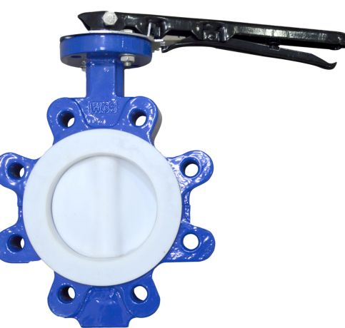 MS PTFE Butterfly Valve in Ahmedabad