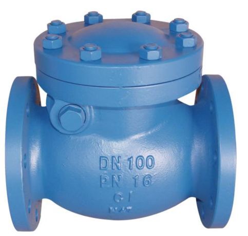 PFA Cast Iron Swing Check Valve in Ahmedabad
