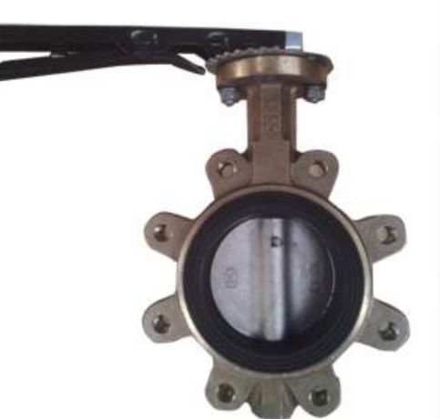 PTFE Lined Bronze Lug Type Butterfly Valve in Ahmedabad