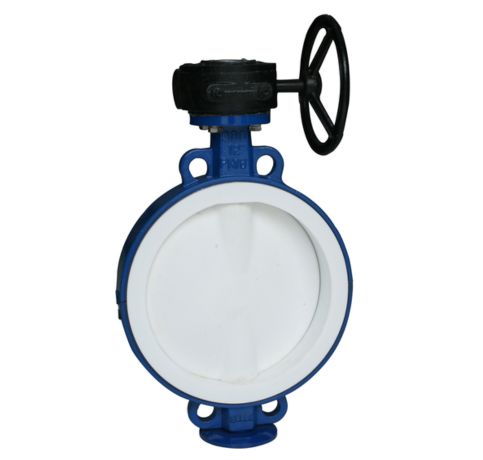 PTFE Lined Butterfly Valve in Ahmedabad