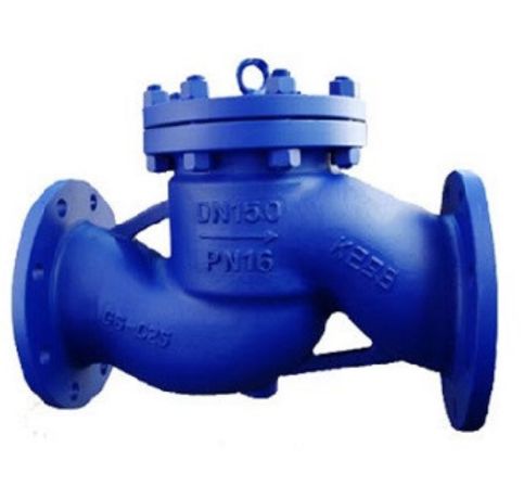 PTFE Lined Check Valve in Ahmedabad
