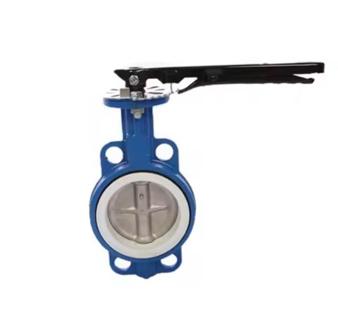 PTFE Seal Butterfly Valve in Ahmedabad